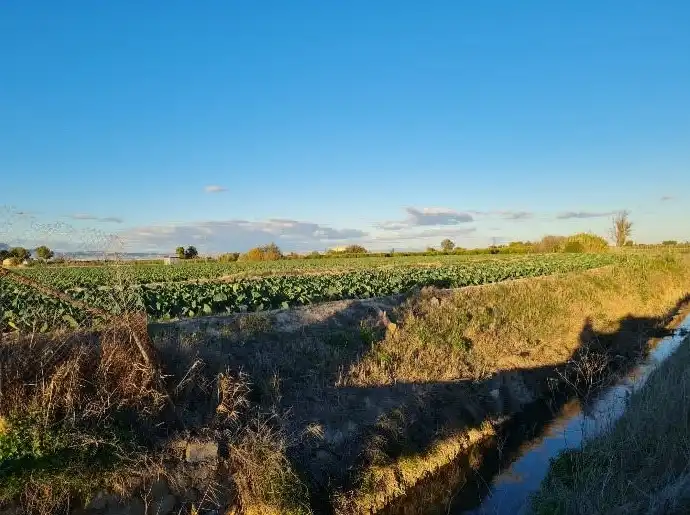 Terrain rustique à vendre à Lg Hacienda Canalobos - El Mudamiento -, imagen 7