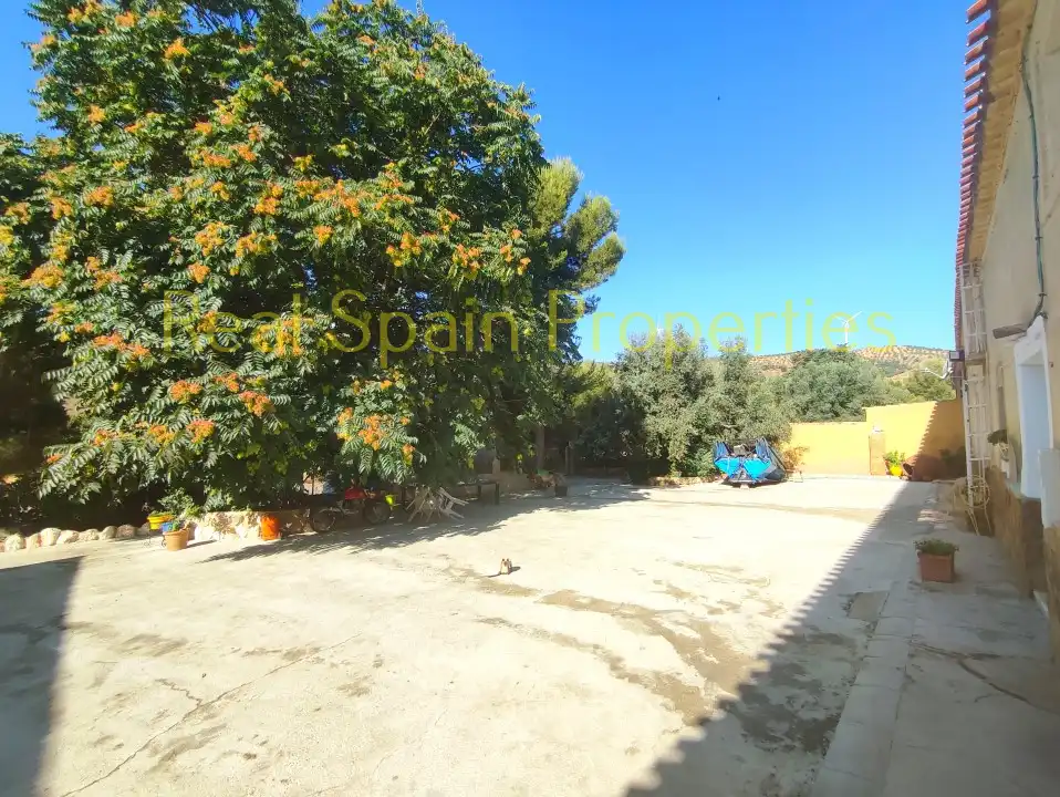 Local comercial en venda a Vélez-Rubio, imagen 26