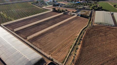 Photo 5 of Land for sale in Diseminado Madriles, 76, Balsicas, Torre-Pacheco