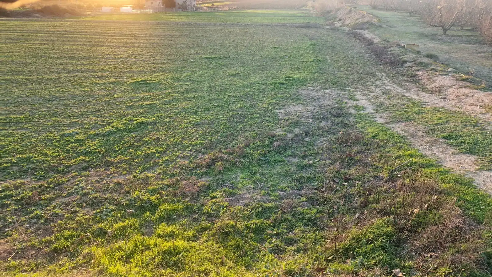 Rural land for sale in Juneda, imagen 3