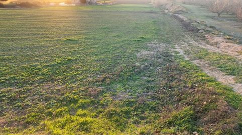 En venda finca rústica de regadiu de 17400 m2 (1’7 ha)  a Juneda (Lleida), imatge 3