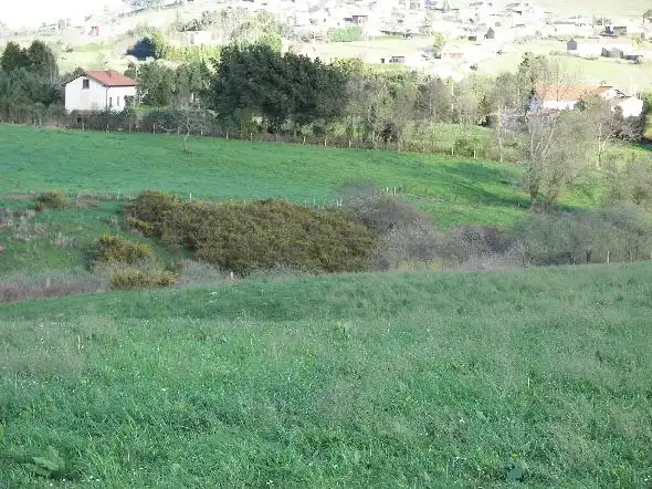 Rural land for sale in Suances, imagen 9