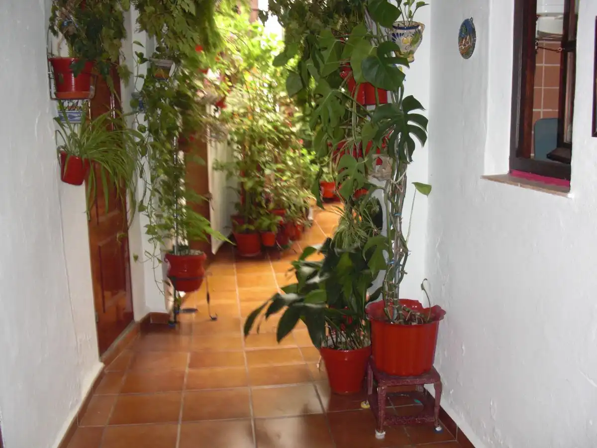 Mini appartamento in affitto a Vejer, imagen 18