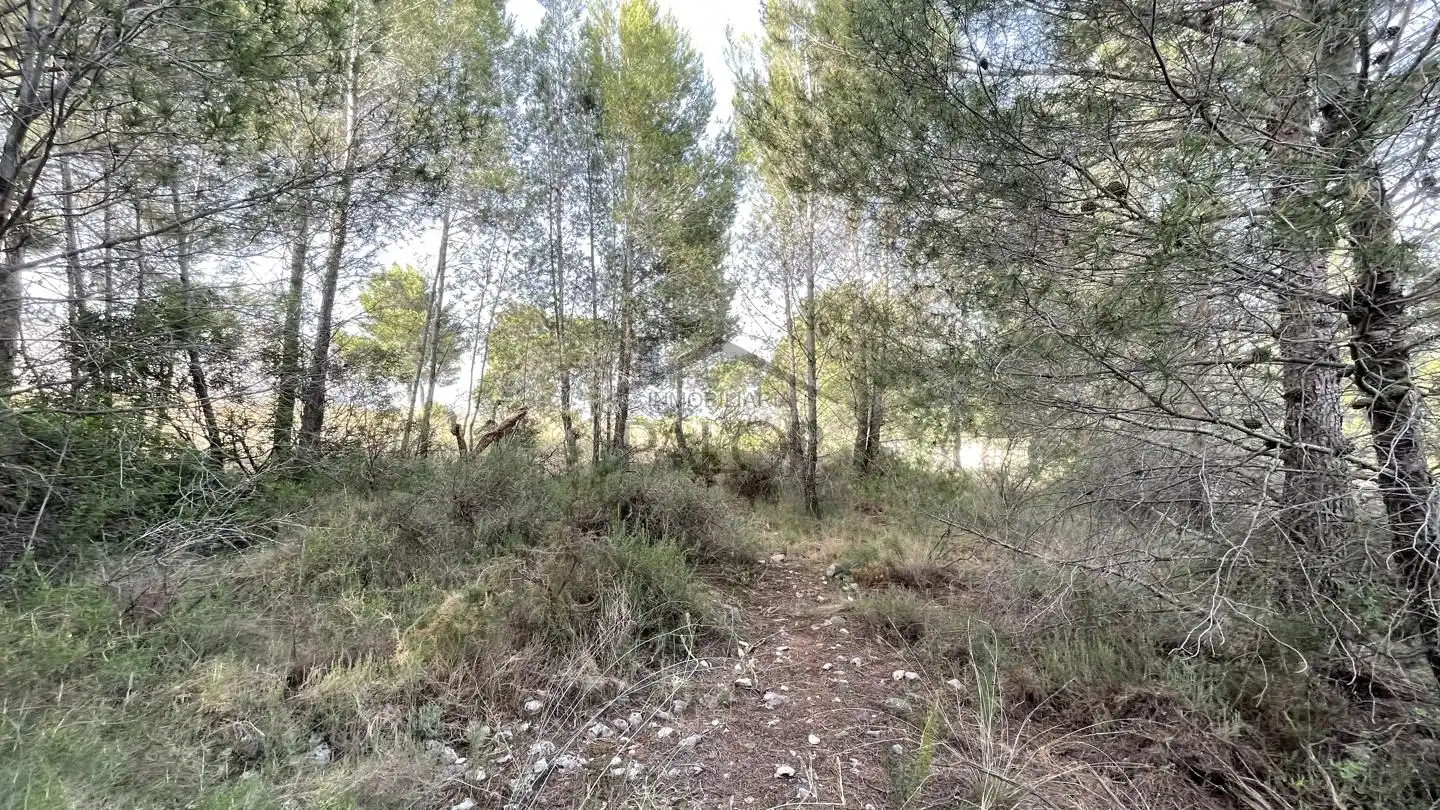 Finca rústica en venta en Carcaixent con Jardín privado, Terraza y Trastero