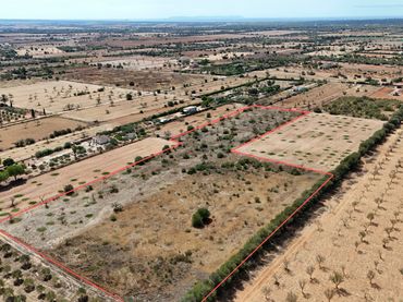 Terreno rustico in vendita a es revellar