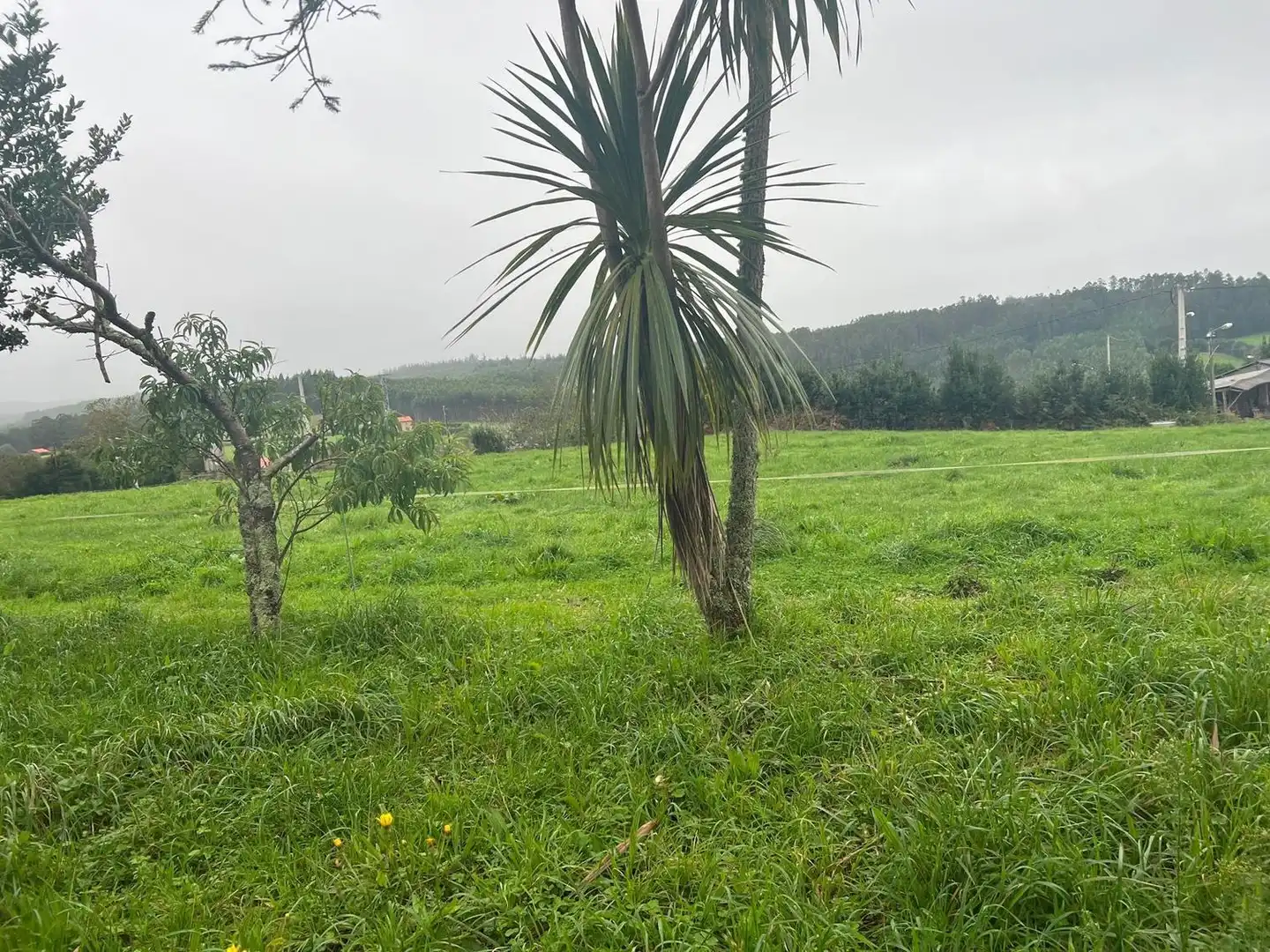 Xalet amb jardí en venda a Lugar Castrelo, imagen 5