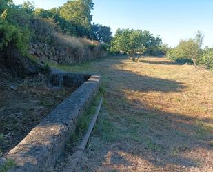 Land for sale in Valverde de la Vera