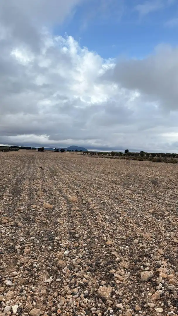 Terrenys i solars en venda a Yecla, imagen 4