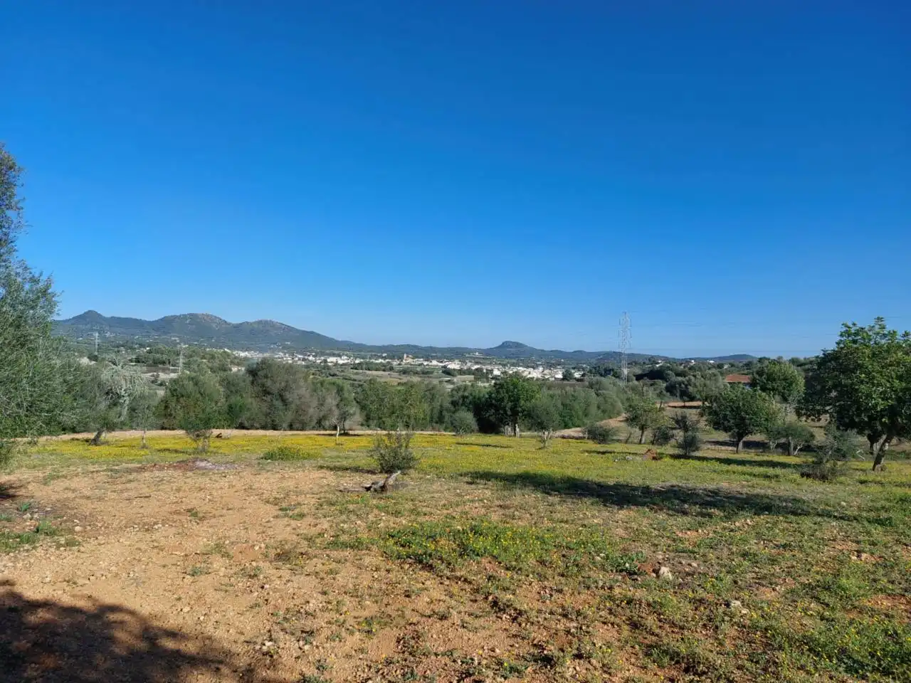 Rural land for sale in Poligono 5 723, imagen 32