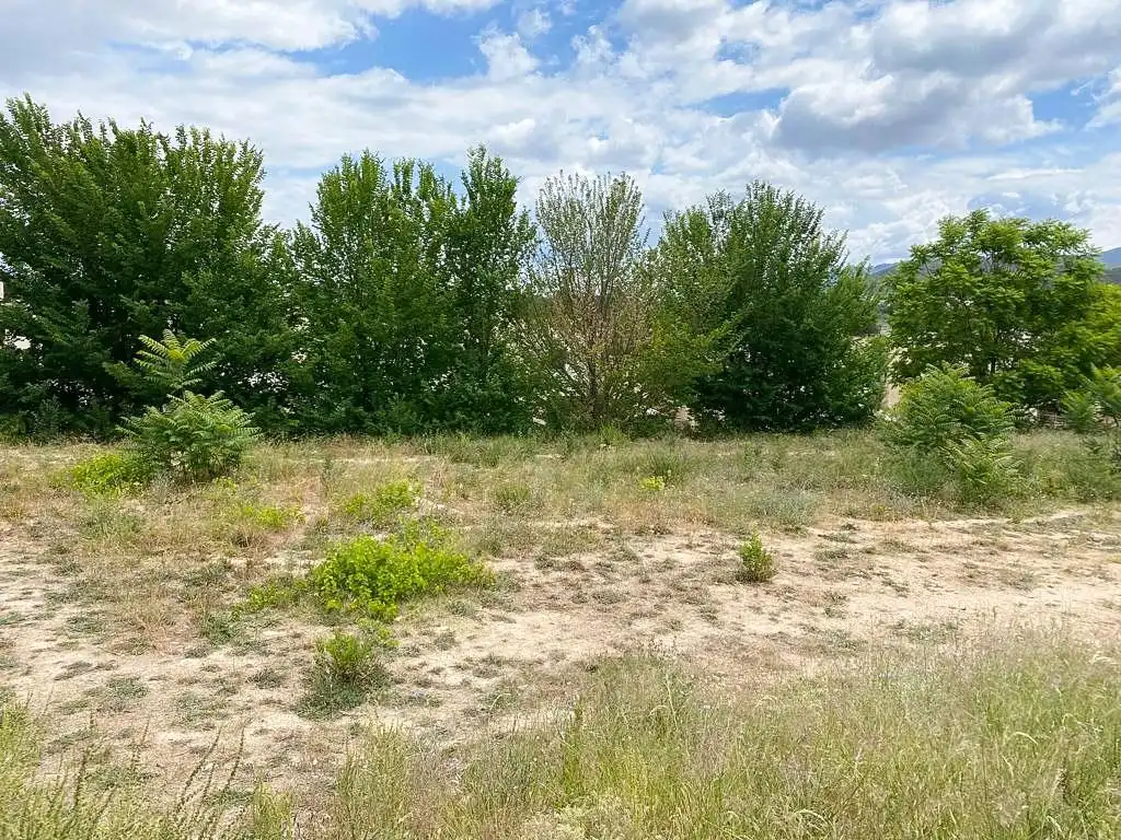 Terreno residenziale in vendita a Albaida, imagen 6