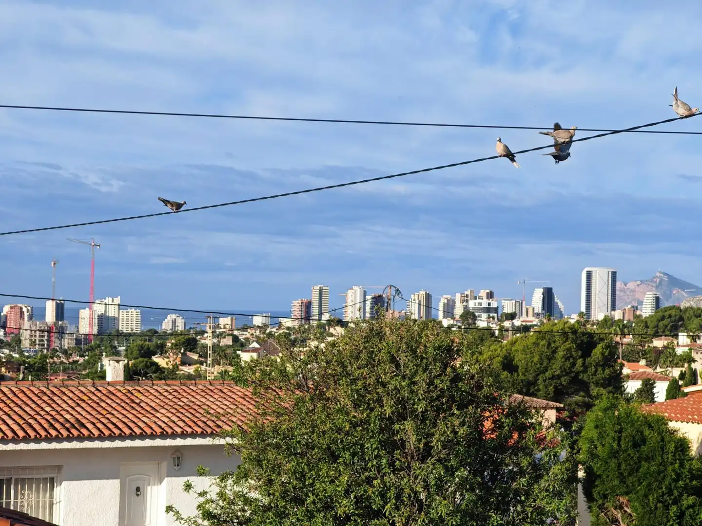 Vista exterior de Casa o xalet en venda en Calpe / Calp amb Aire condicionat, Calefacció i Jardí privat