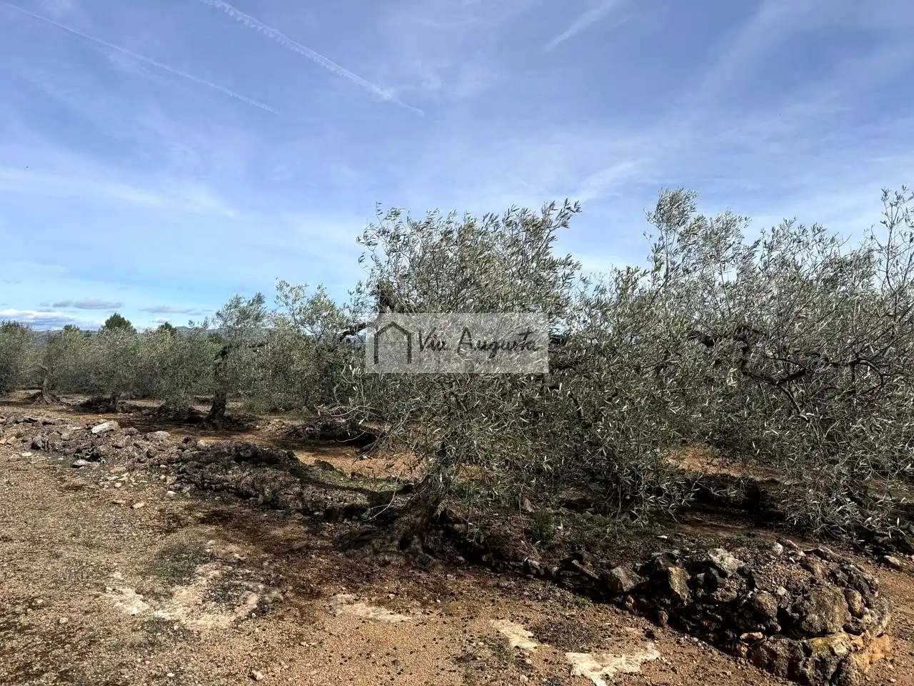 Finca rústica en venda en El Perelló