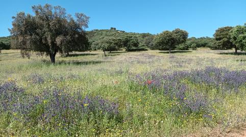 Photo 2 of Land for sale in Centro - Plaza Mayor, Ciudad Real Capital