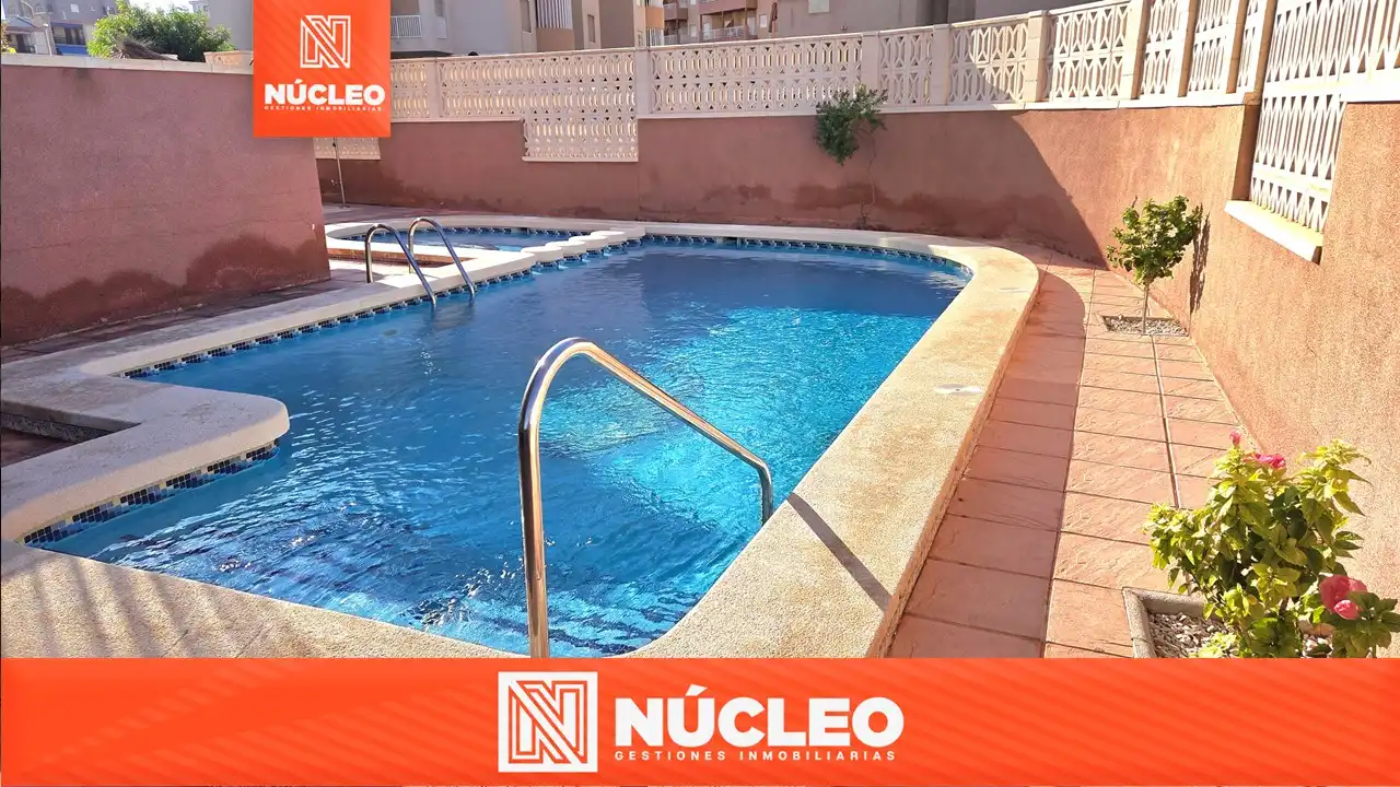Swimming pool of Apartments for sale in Elche / Elx  with Air Conditioner, Terrace and Furnished