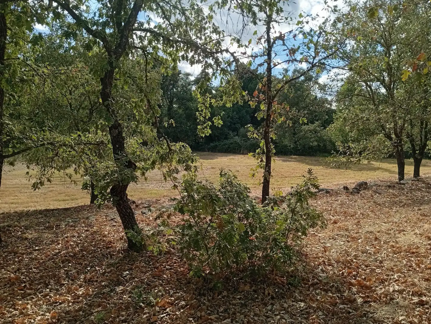 Terreni e lotti in vendita a Villanueva de la Vera, imagen 19