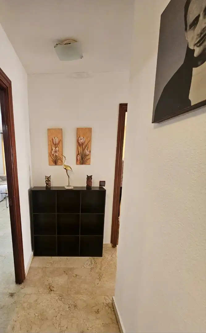 Piso de alquiler en Benalmádena con Terraza, Amueblado y Horno