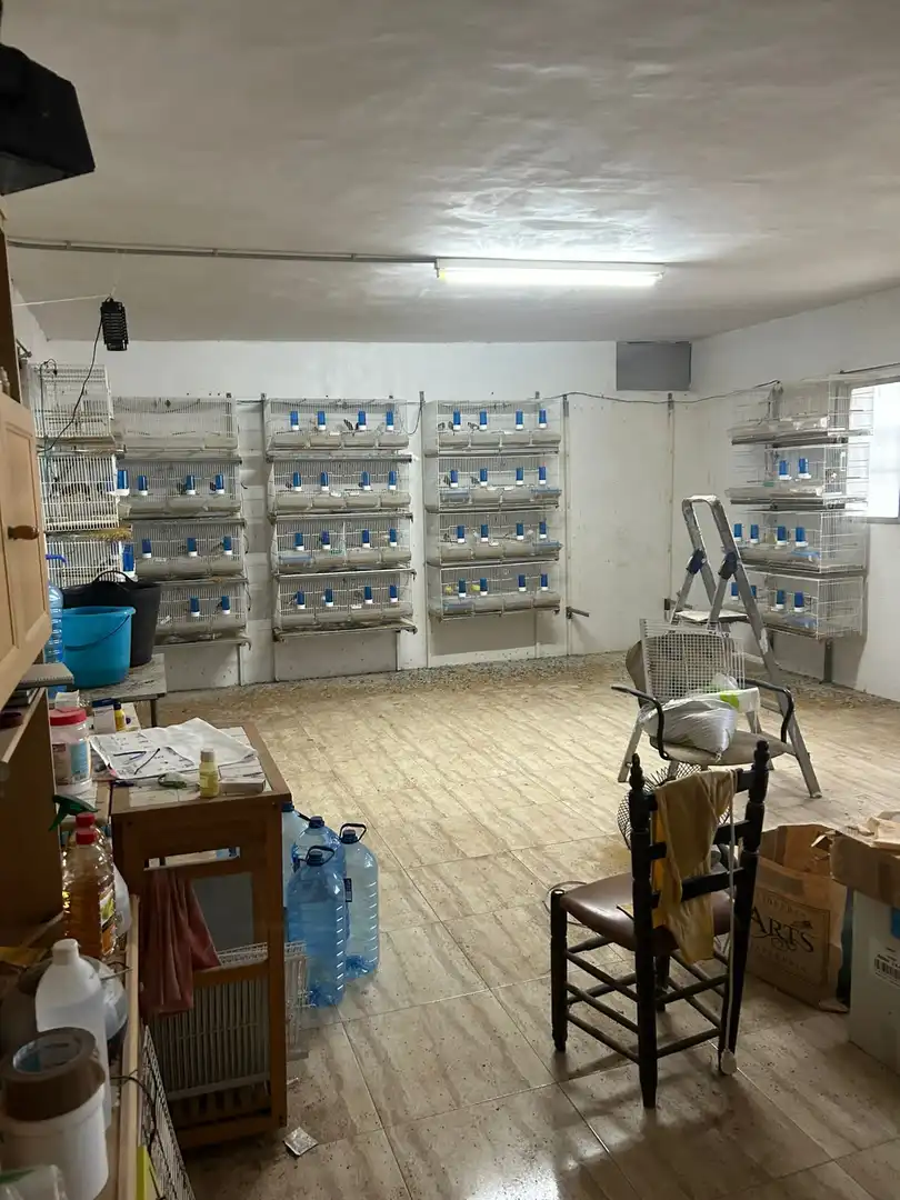 Gewerbefläche zum Verkauf in Sueca ciudad, imagen 14