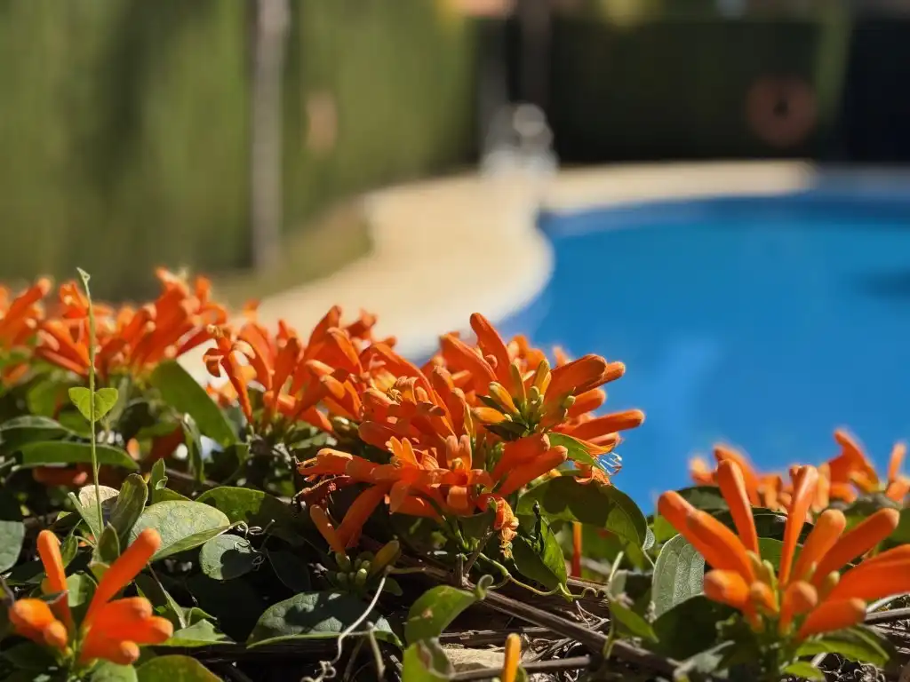 Abitazione con piscina in vendita a Costa Natura, imagen 12