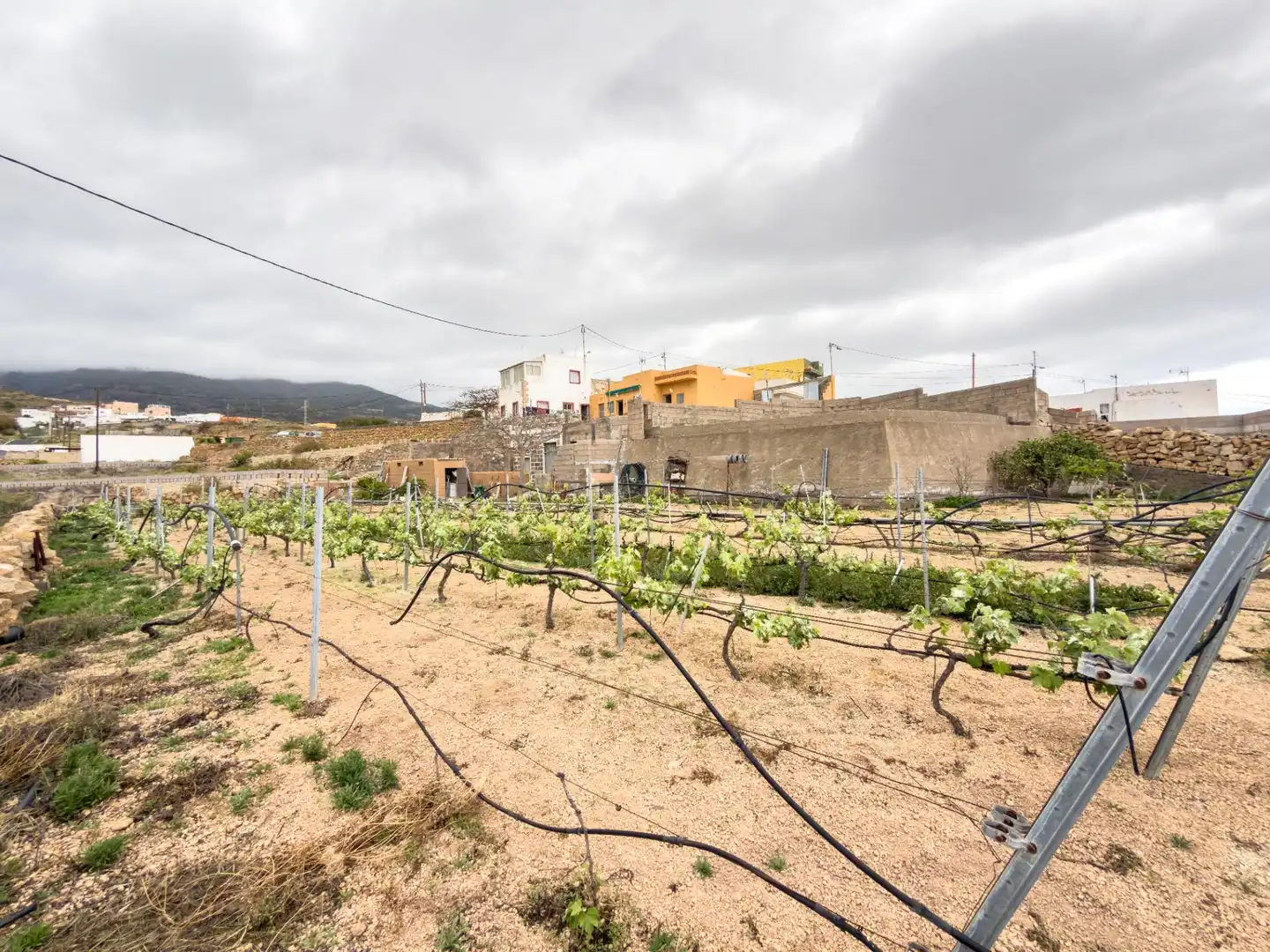 Country house for sale in Arico, imagen 28