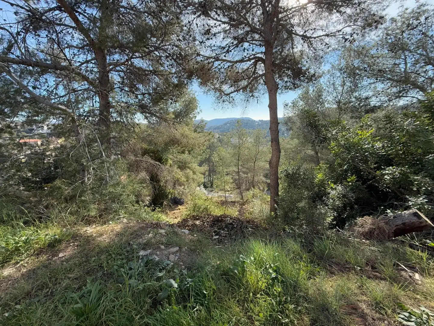 Residential land for sale in Olivella, imagen 4