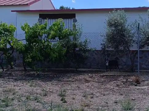 Jardín de Finca rústica en venta en La Haba  con Jardín privado, Parquet y Piscina