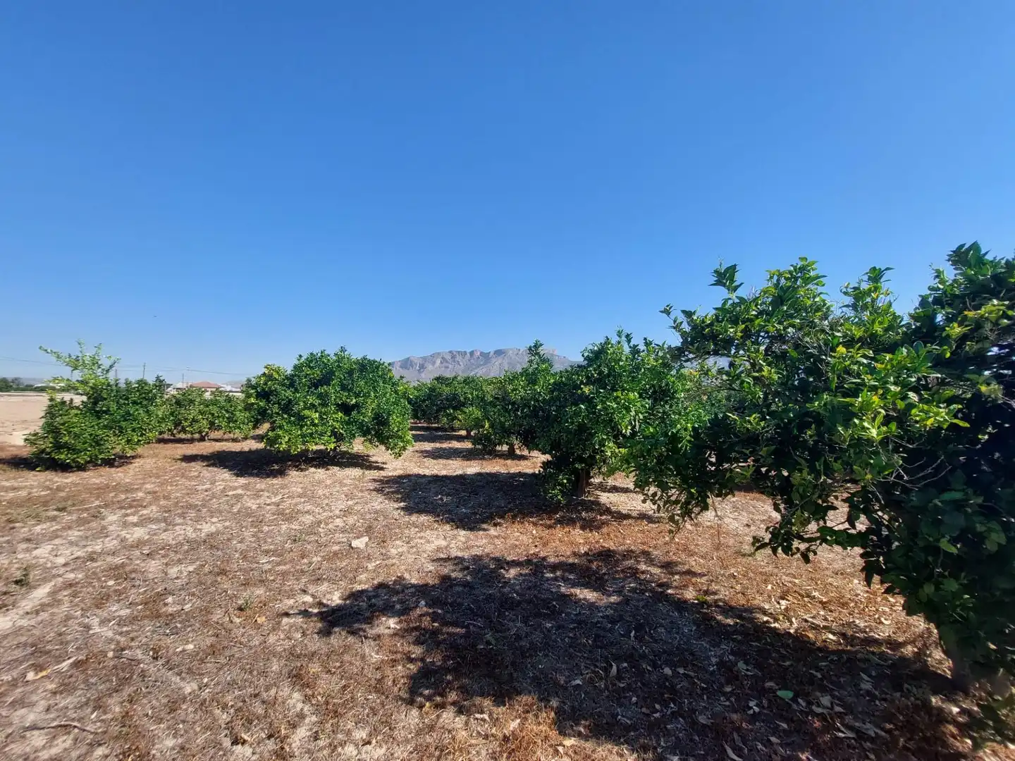 Country homes for sale in Murcia  with Private garden