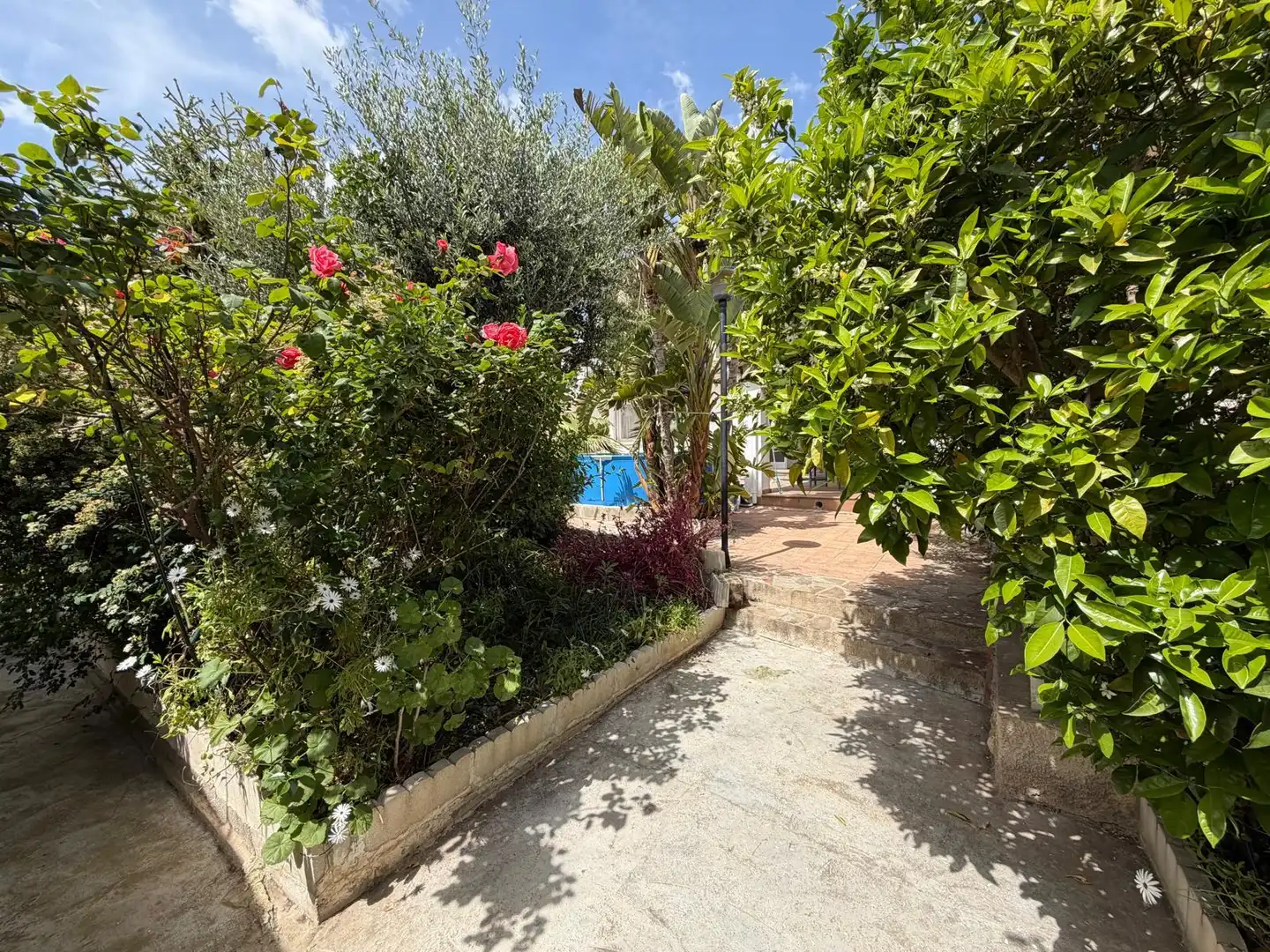 Chalet con jardín en venta en Sant Jaume dels Domenys, imagen 19