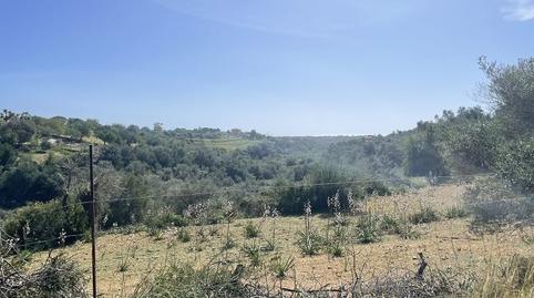 Photo 3 of Country house for sale in Carrer Aucanada, Cales de Mallorca, Illes Balears