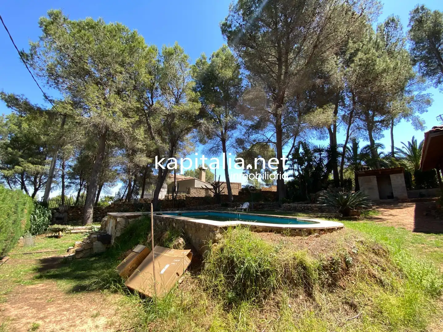 Jardín de Casa o chalet en venta en Alberic con Jardín privado, Piscina y Amueblado