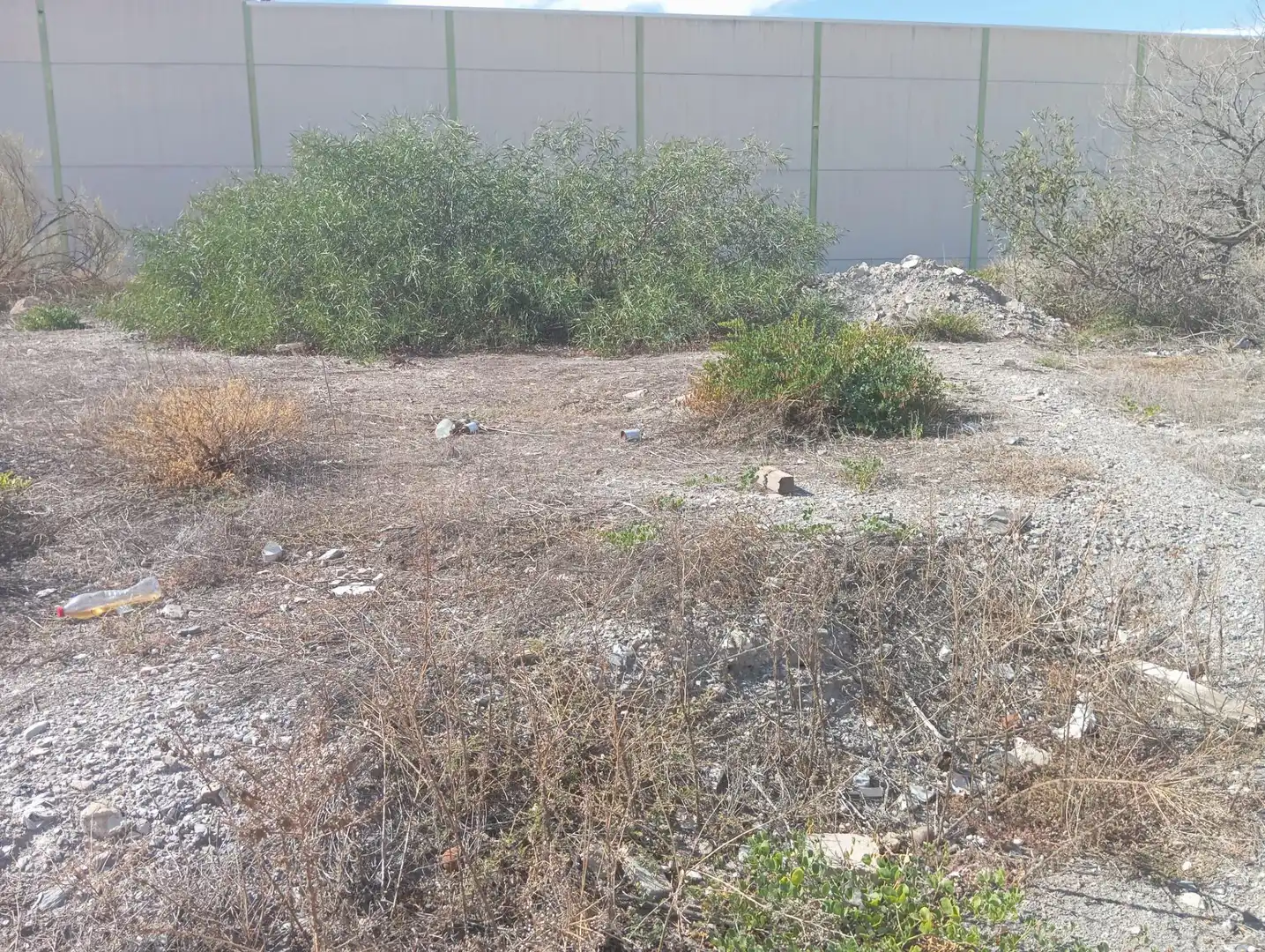 Terreni e lotti in vendita a Pedanías Centro