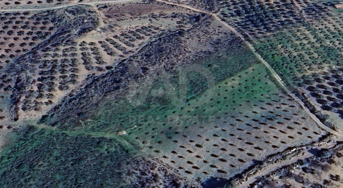 Land for sale in Alcaucín