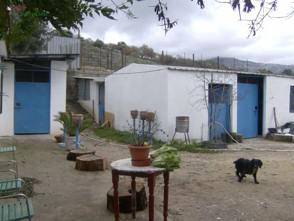 Terreni e lotti in vendita a Benaocaz, imagen 4