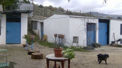 VENTA FINCA RÚSTICA CRTRA. EL BOSQUE  UBRIQUE, immagine 4