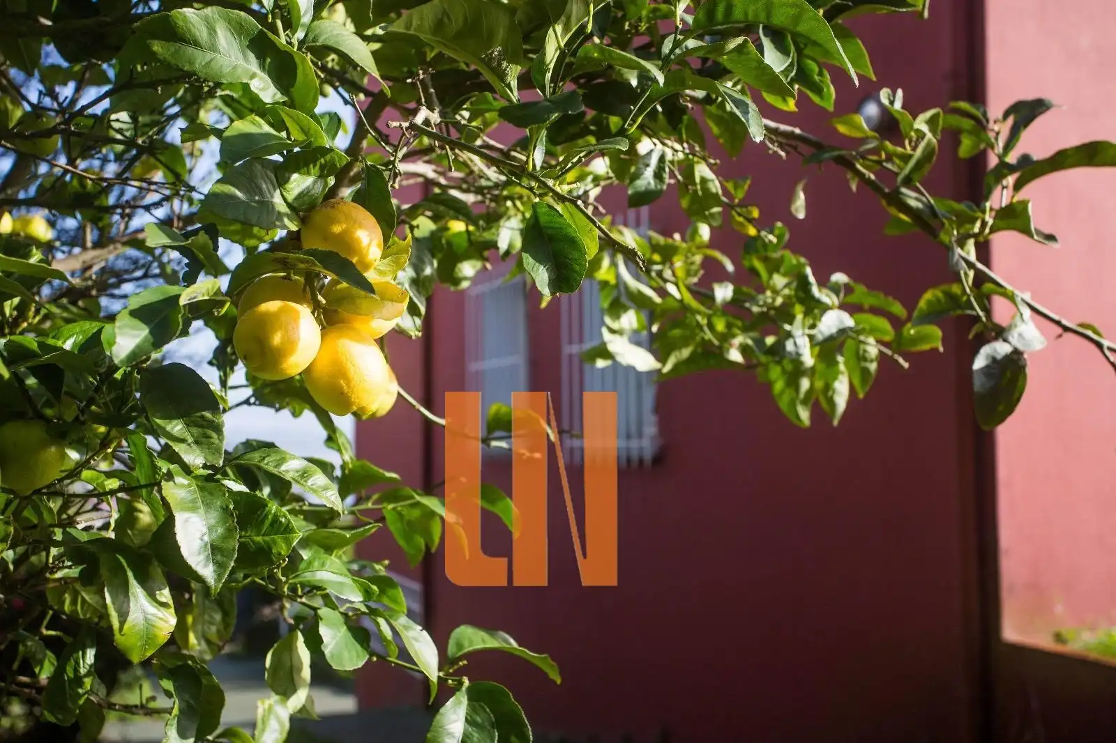 Vista exterior de Casa o xalet en venda en A Coruña Capital  amb Calefacció, Jardí privat i Terrassa