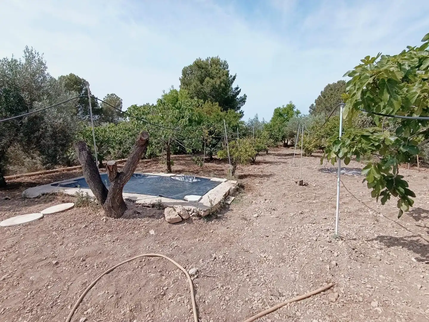 Maison avec piscine à vendre à Hondón de las Nieves / El Fondó de les Neus, imagen 28