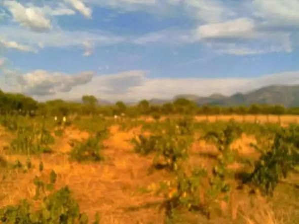 Terreni e lotti in vendita a Zarza de Granadilla