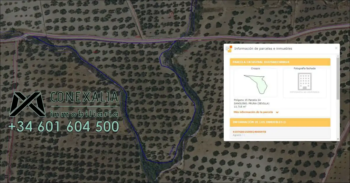 Finca rústica en venta en Pruna