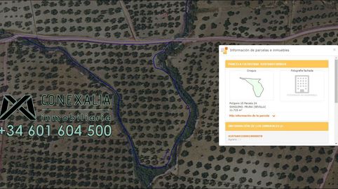 Finca en venta en Pruna., imatge 4