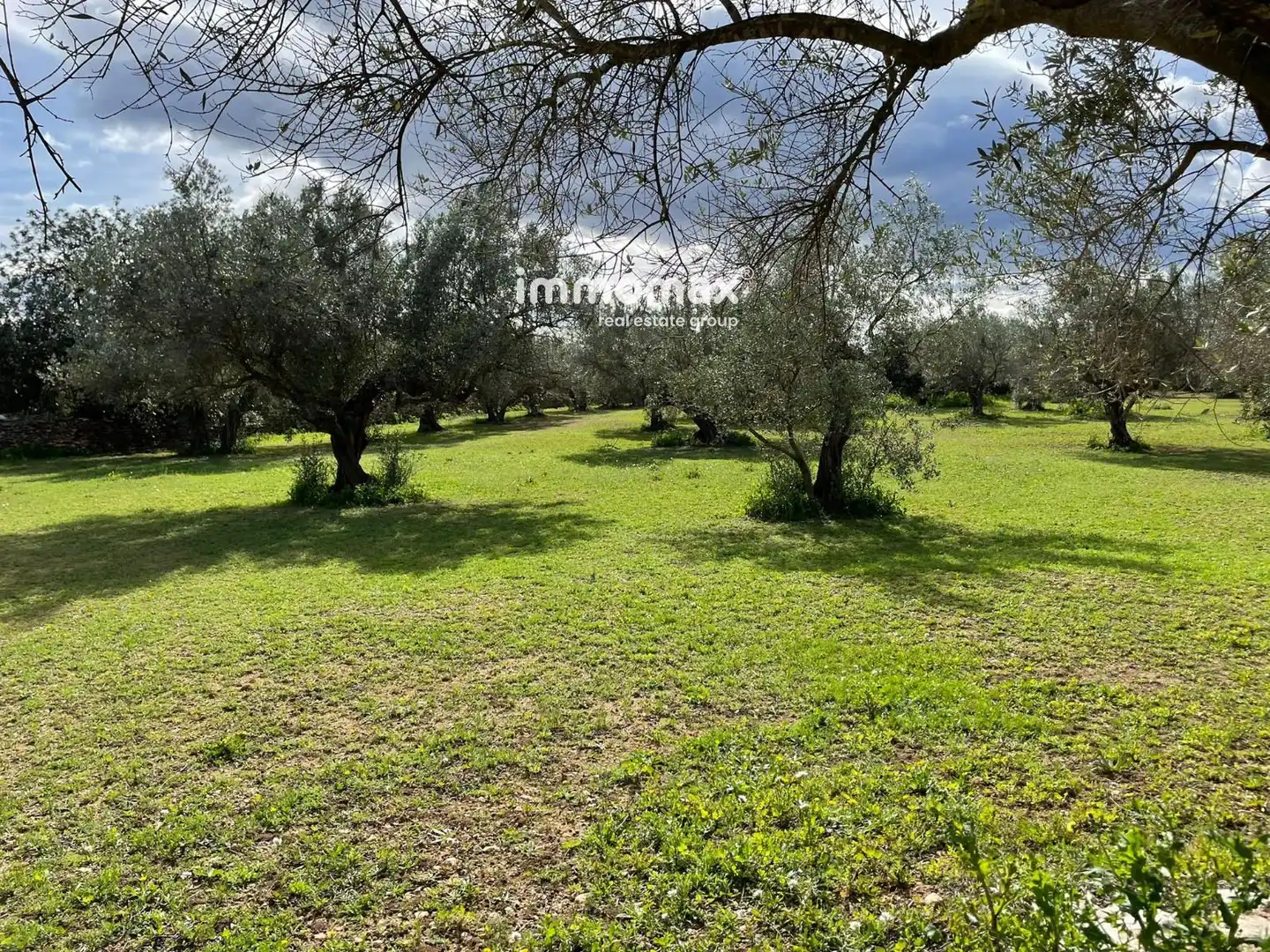 Residencial en venta en Aldover