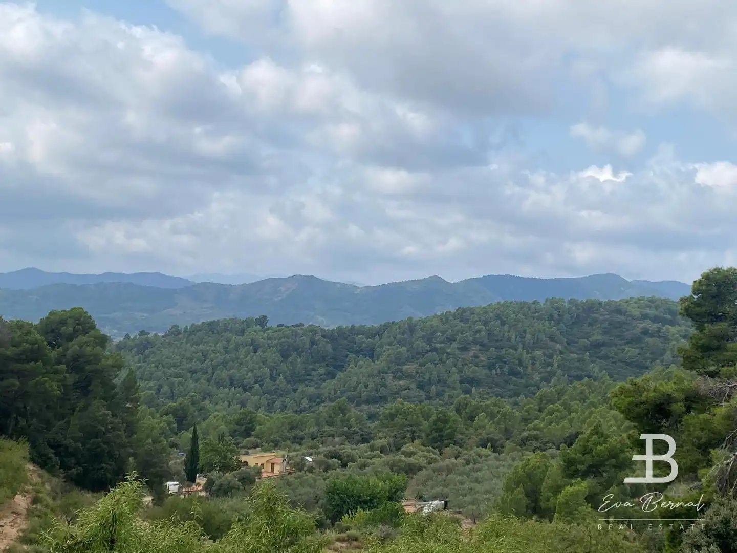 Terreny rústic en venda a Alforja, imagen 2
