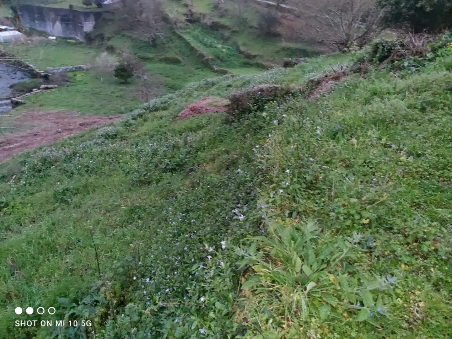 Lands and plots for sale in Soutomaior, imagen 2