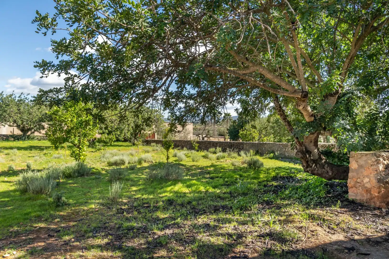 Haus mit Garten zum Verkauf in Llevant, imagen 35