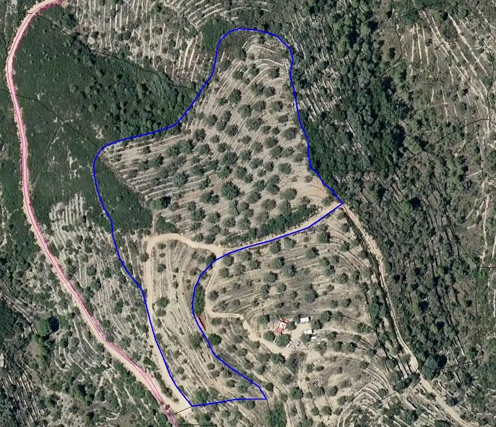 Rural land for sale in Cervera del Maestre, imagen 3