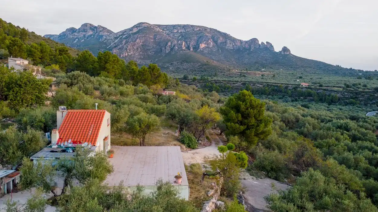 Vista exterior de Finca rústica en venta en Mas de Barberans con Terraza y Trastero