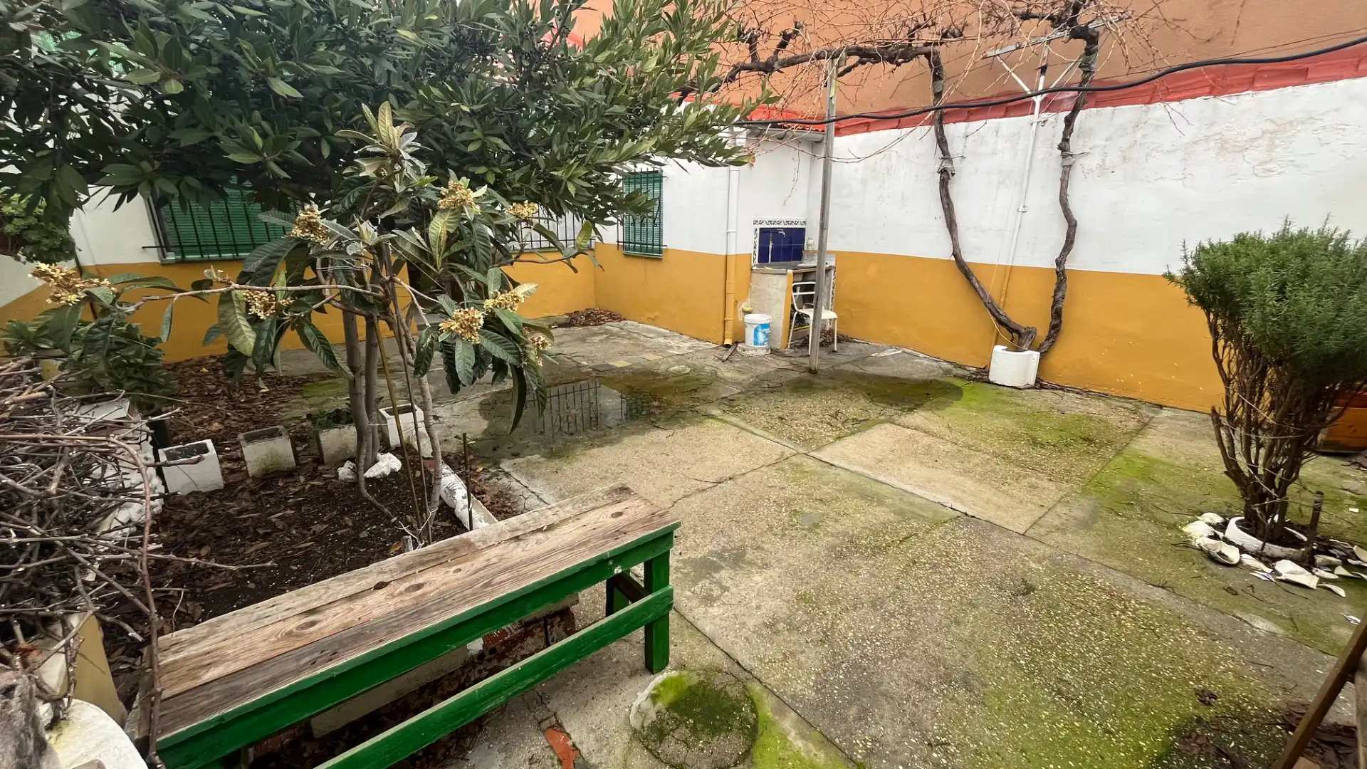 Jardí de Casa o xalet en venda en Valladolid