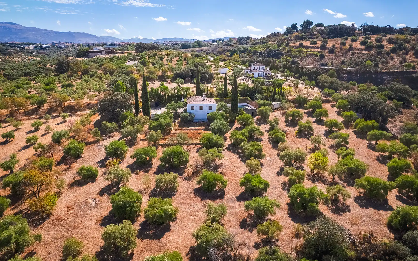 Maison avec piscine à vendre à Casco Histórico, imagen 34