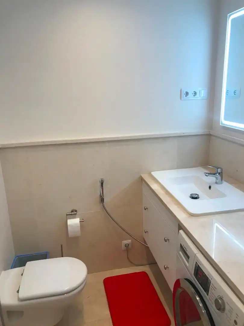 Apartamento con terraza en alquiler en Urbanizacion los Flamingos 33, imagen 24