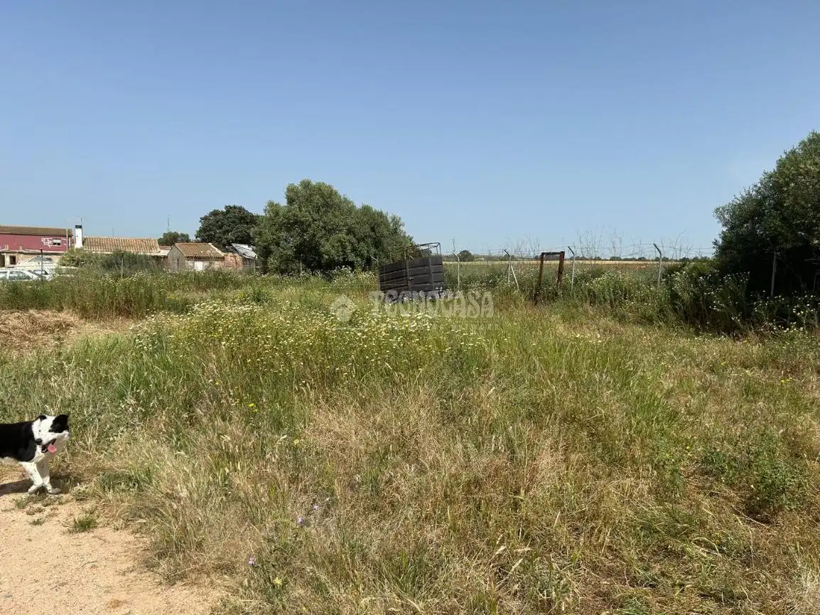 Finca rústica en venta en Huelva