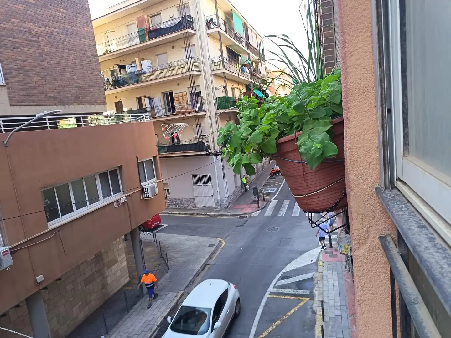 Vista exterior de Piso en venta en Alicante / Alacant con Amueblado