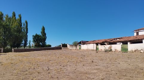 Foto 5 de Finca rústica en venta en Zafra, Badajoz